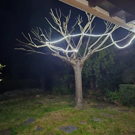 Le Jardin Provençal Le Lavandou