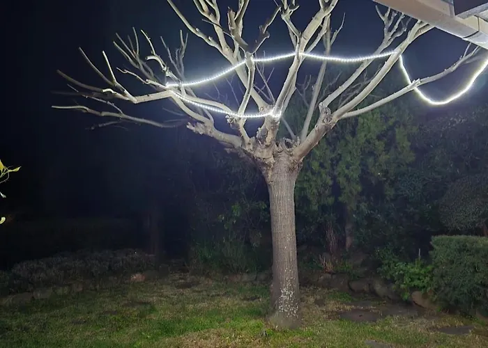 Le Jardin Provençal Le Lavandou